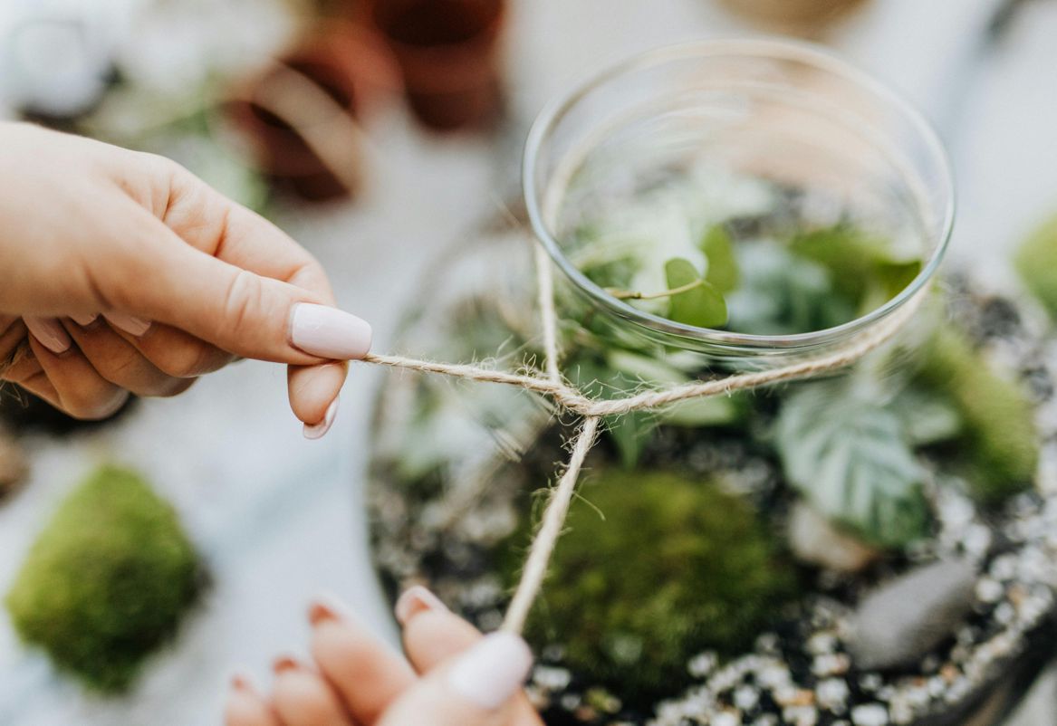 Os nossos terrários