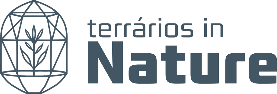 Terrários In Nature