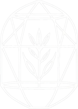 Terrários in Nature